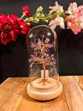 Bonsaï Lumineux en Améthyste sous Cloche – Arbre de Vie avec QR Code Explicatif
