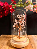 Bonsaï Lumineux en Quartz Rose sous Cloche – Arbre de Vie avec QR Code Explicatif