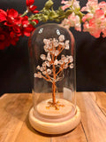 Bonsaï Lumineux en Cristal de Roche sous Cloche – Arbre de Vie avec QR Code Explicatif